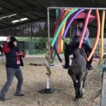 Sandra Coaching at her Horse Agility Sessions